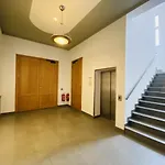 Berringer Makrele, an der Promenade